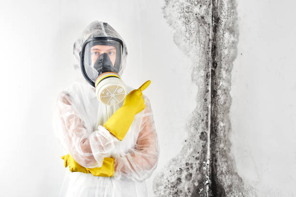 Best Biohazard Mold Removal  in Charlotte, NC