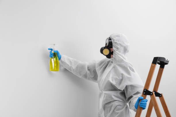 Best Air Quality Testing for Mold Spores  in Charlotte, NC